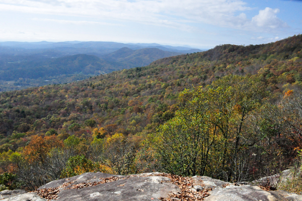 fall colors